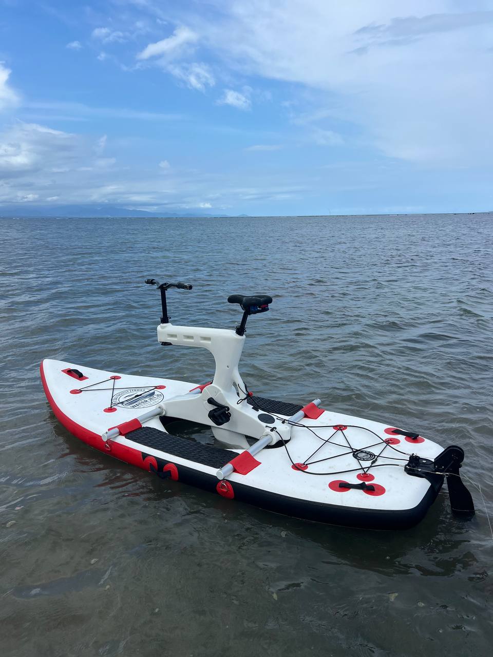 Water Bike (Pedal Boat)