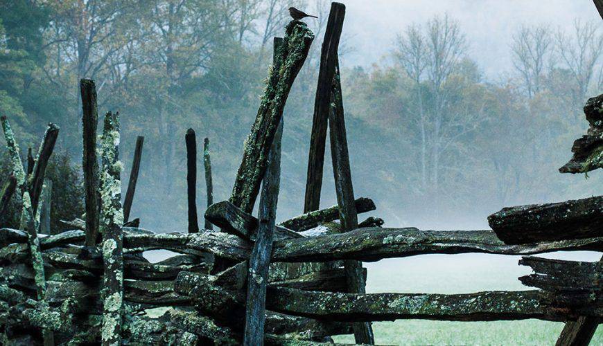 Bali to Lombok: Complete Island Hopping Guide